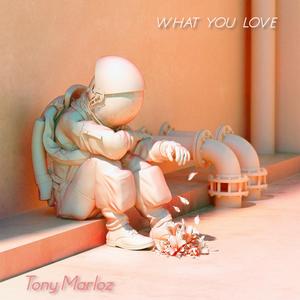 what you love