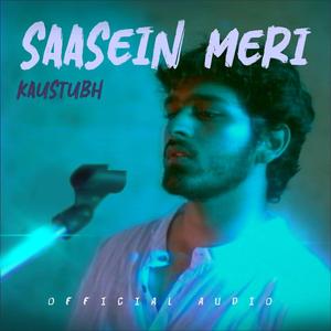 Saasein Meri