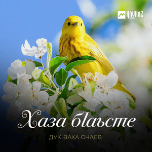 Хаза бlаьсте