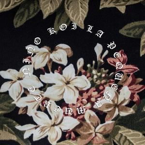 ¿Adónde está la noche?