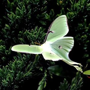 Drop my way（走我的路）