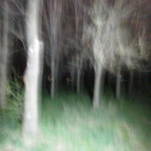 YOU AIN'T BULLETPROOF.