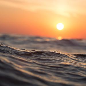 浮