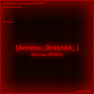 Access(2021 Edition)