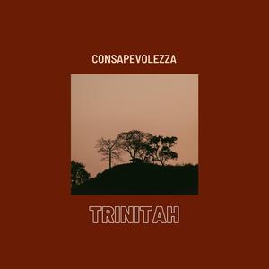 Consapevolezza