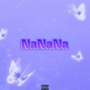 NaNaNa