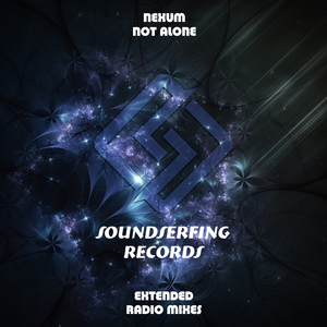 Not Alone (Extended Mix)