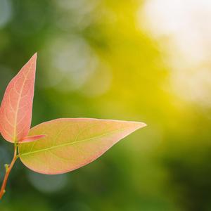 差一点就是你 Almost You