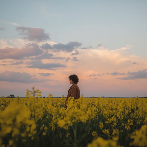 Песня последней встречи