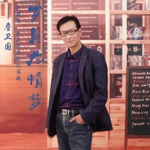 詹卫国 - 岁月无情梦 伴奏