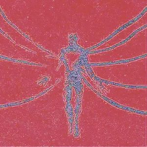 琥珀里的永恒波长