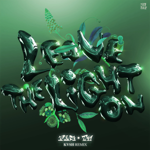 Leave The Light On (KVSH Remix)