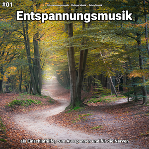 Entspannungsmusik, Pt. 37