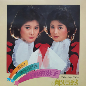 落叶飘雨 (重制版)