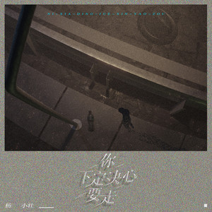 你下定决心要走