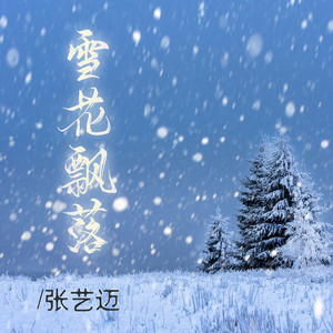雪花飘落 (DJ阿本版)