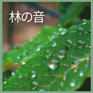 林の音、パート17