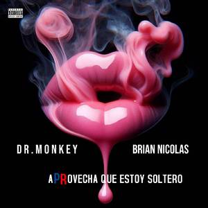 Voy a llevarte pa PR (Afro Tech)