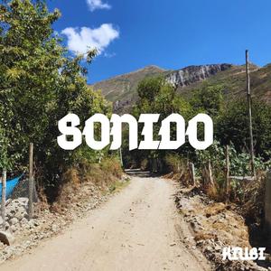 Sonido
