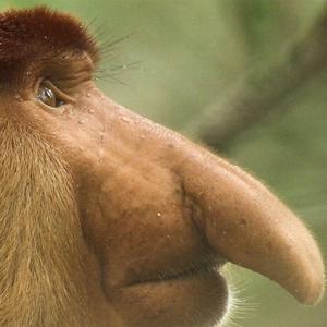 Reconciliation (Radio Edit)