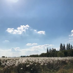 成长册