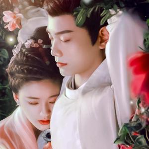 月夜（翻自 双笙）