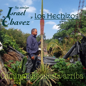 Con la Magia del Celular