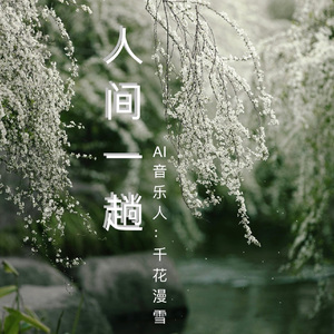 人间一趟