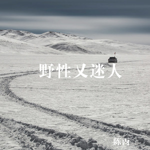 王牌飞行员申请出战