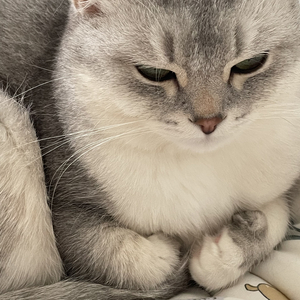 ANSWER  (Prod.by Jerrosl4-江东之风)