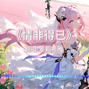 AI爱莉希雅 情非得已