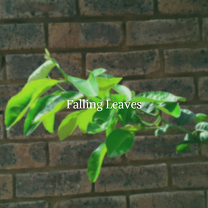 Falling Leaves