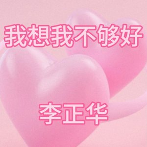 我想我不够好