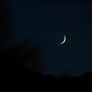 NO REDEMPTION（INSTRUMENTAL)