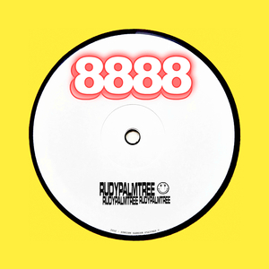 8888