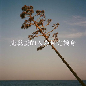先说爱的人为何先转身