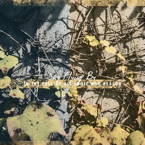 The World In A Painter's Cup