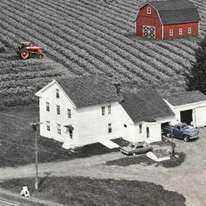 Supper time at the Smith Farm