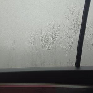 花已经枯了 你再浇水也多余