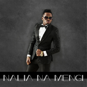 Nalia Na Mengi