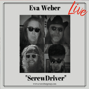 Screwdriver (Live)