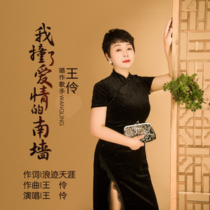 我撞了爱情的南墙