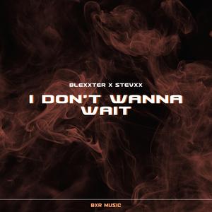I Don't Wanna Wait