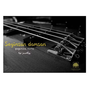 Seginsun Demsen