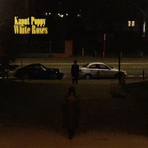 Last Waltz In The Moonlight