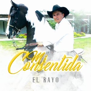 Idiotizado