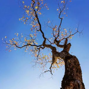 理想的旗帜高扬