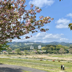 カンカクノウタ 山彦