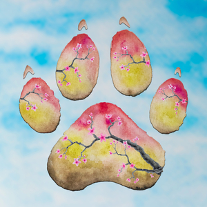 Inu