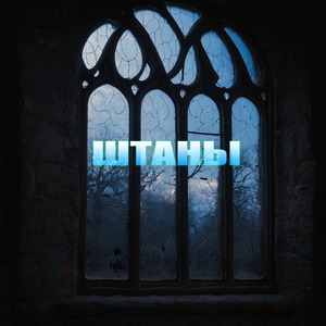 Штаны